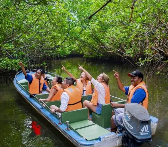 boat safari